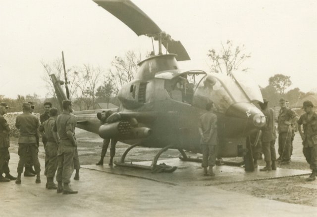 Cobra in base camp